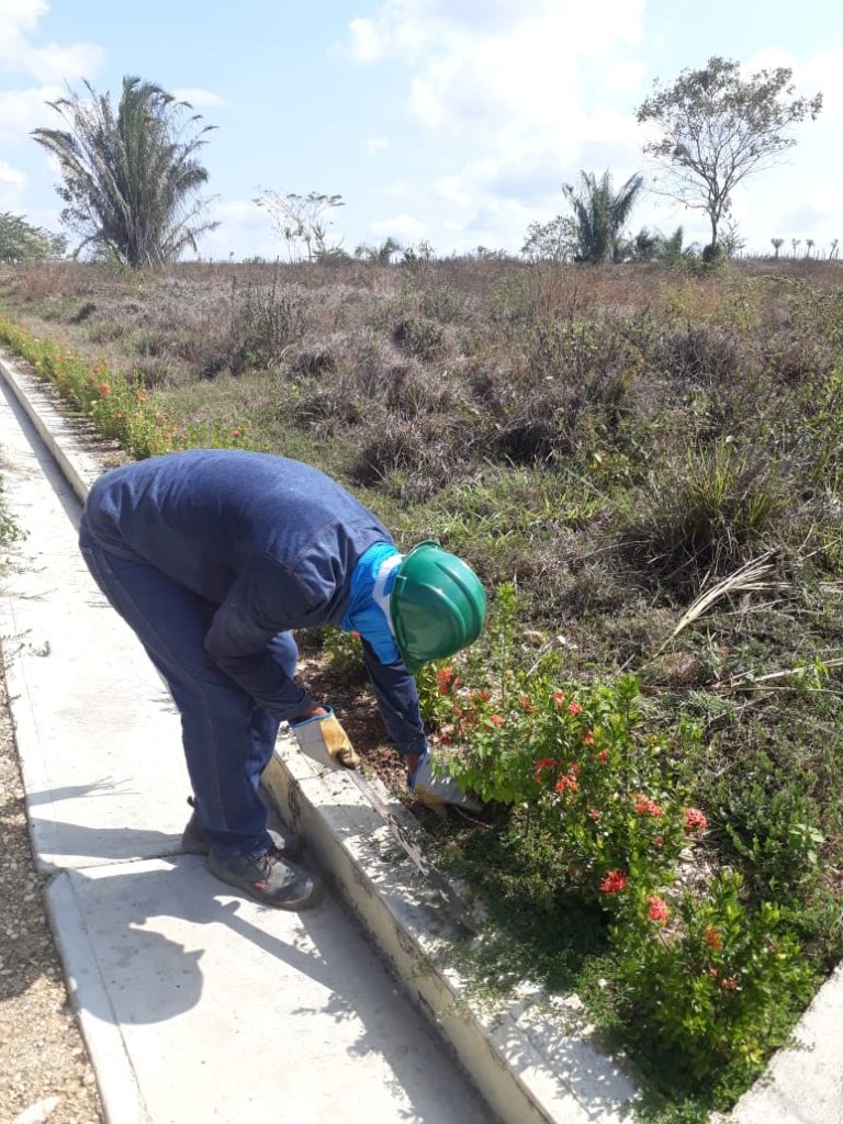 Worker in safety gear planting flowers along a concrete edge in a grassy field under a clear blue sky.